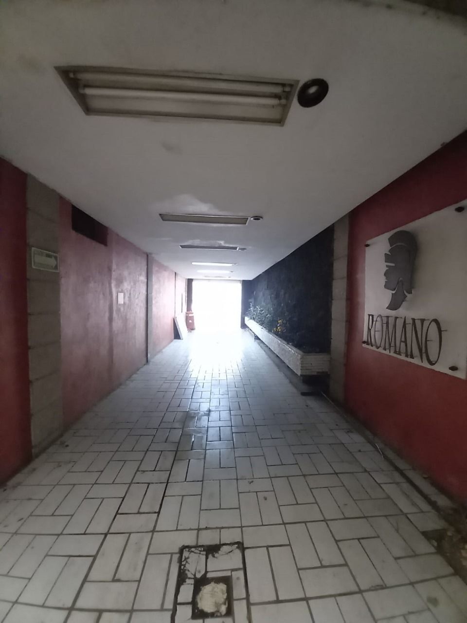 3 de 18