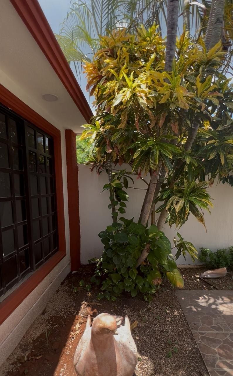 2 of 15: Jardin