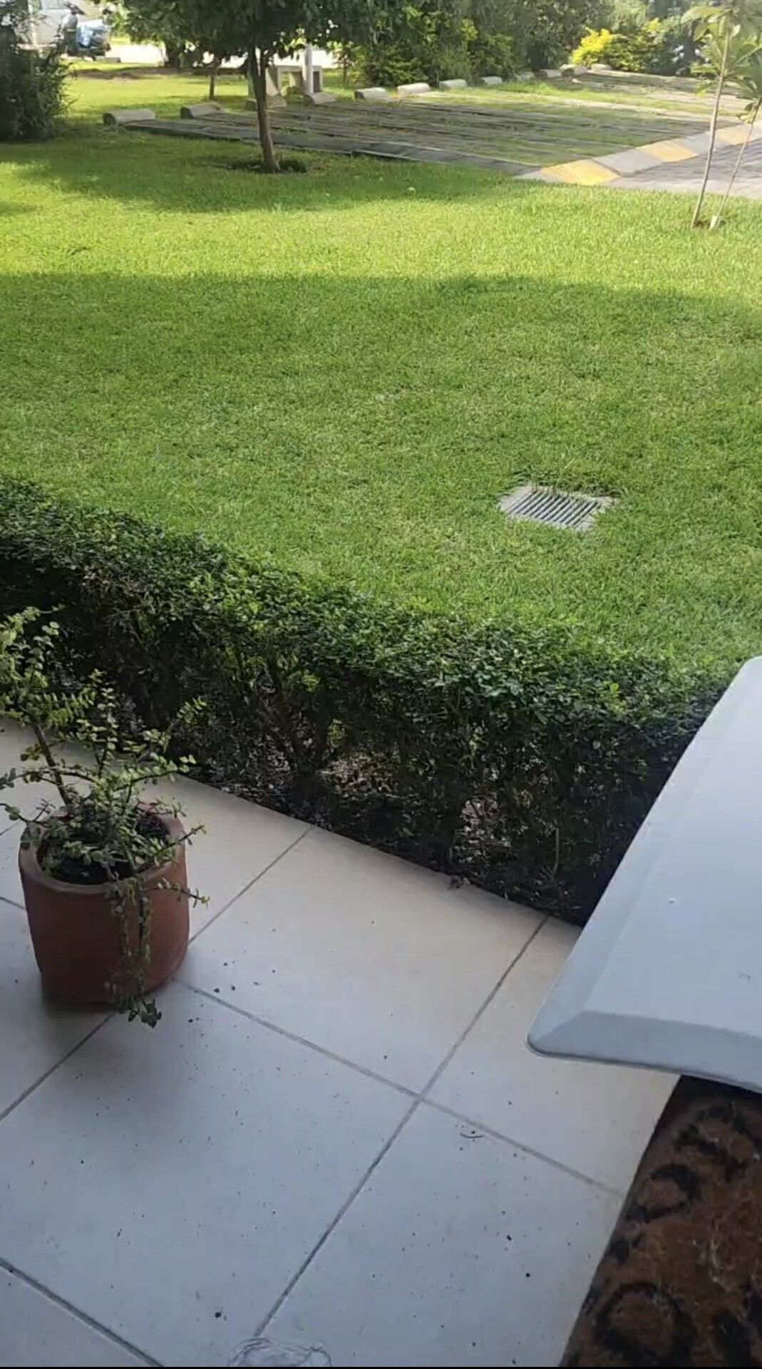 5 de 30