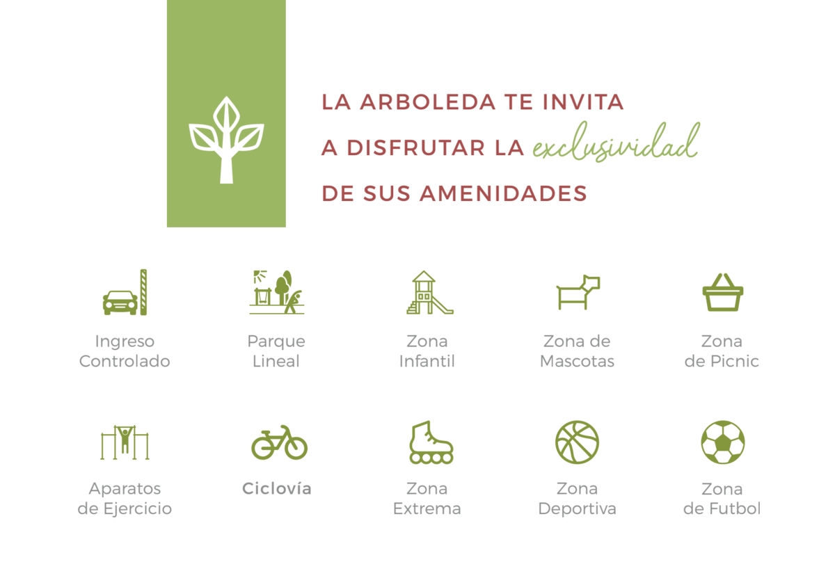 Imagen 4 de 10