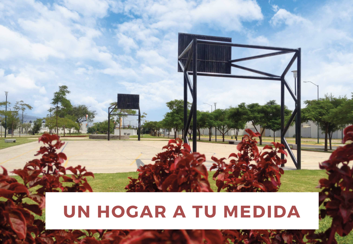 Imagen 5 de 10