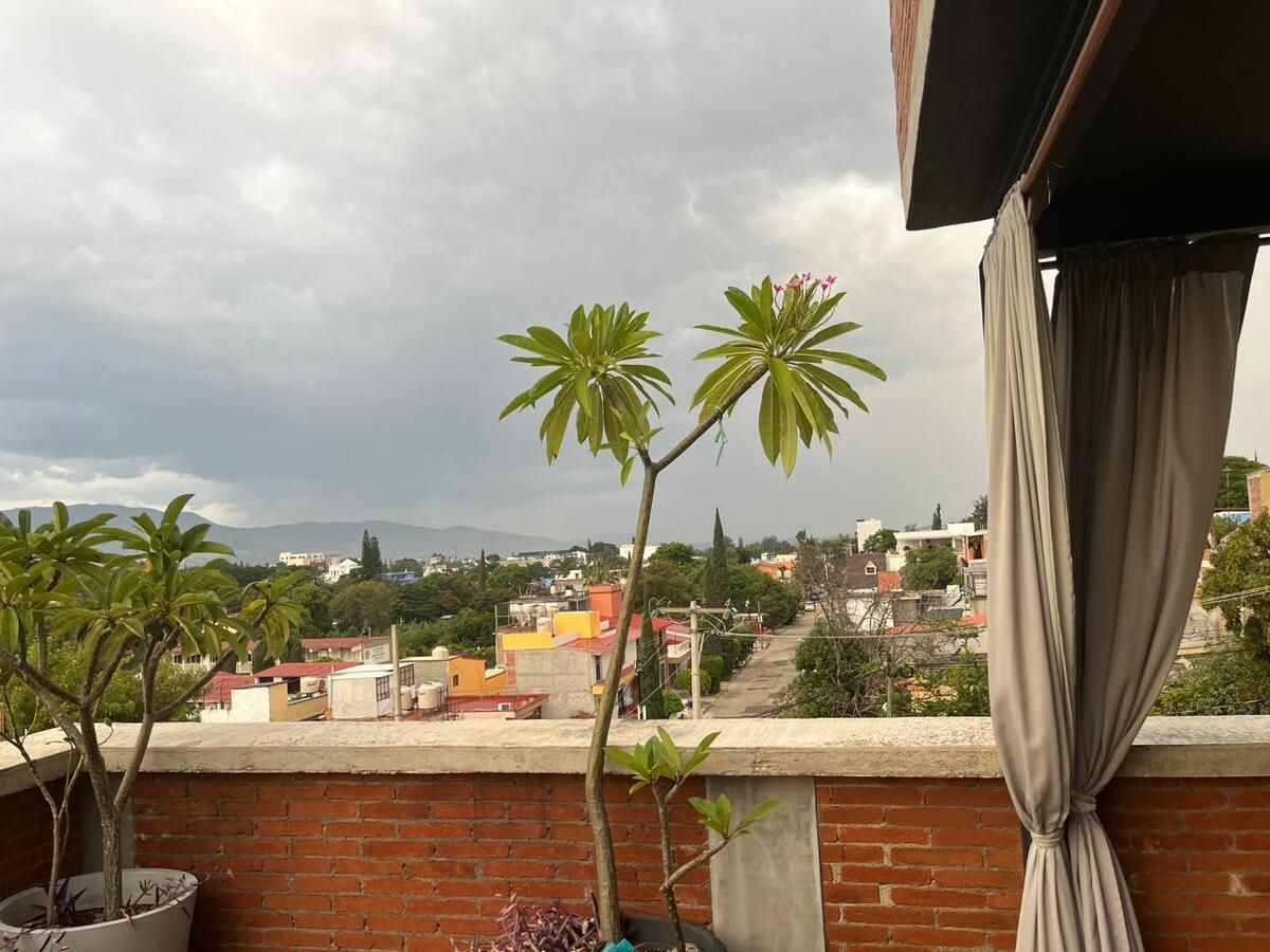 12 de 16