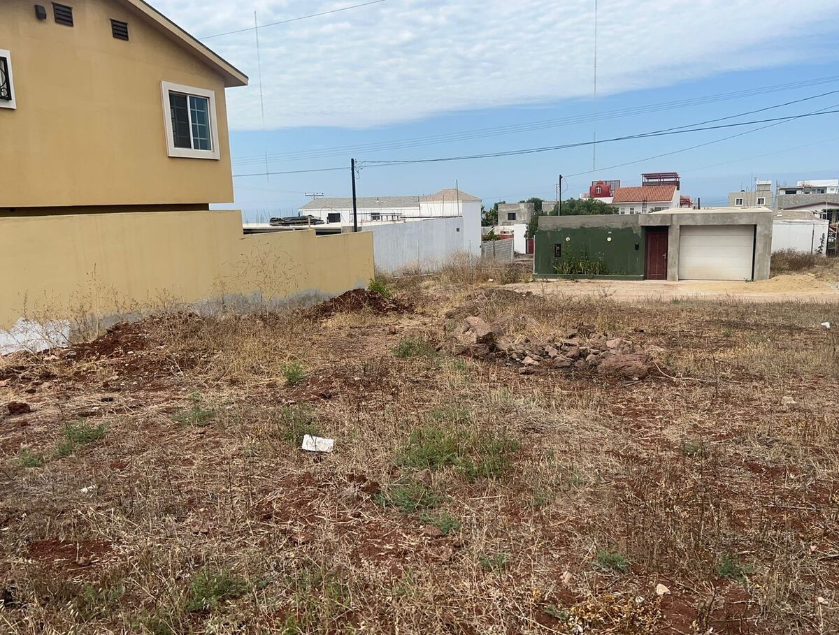 Imagen 4 de 5