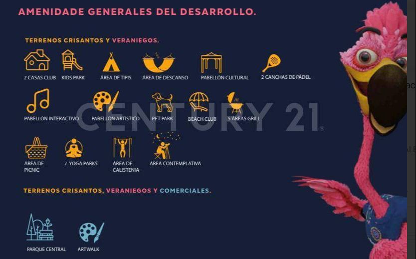 4 de 11