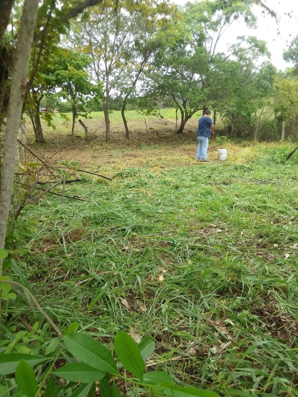 1 de 2