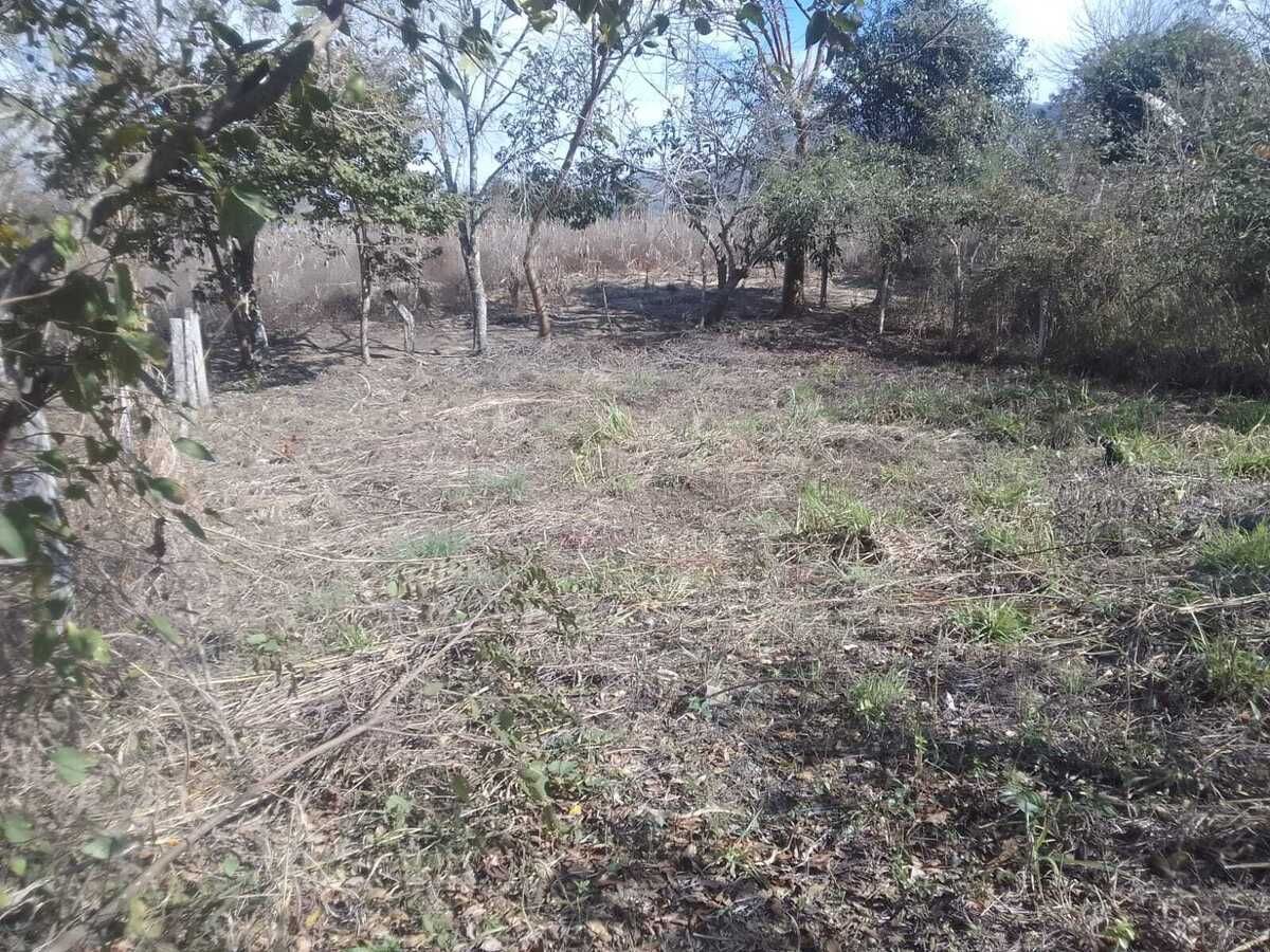 2 de 2