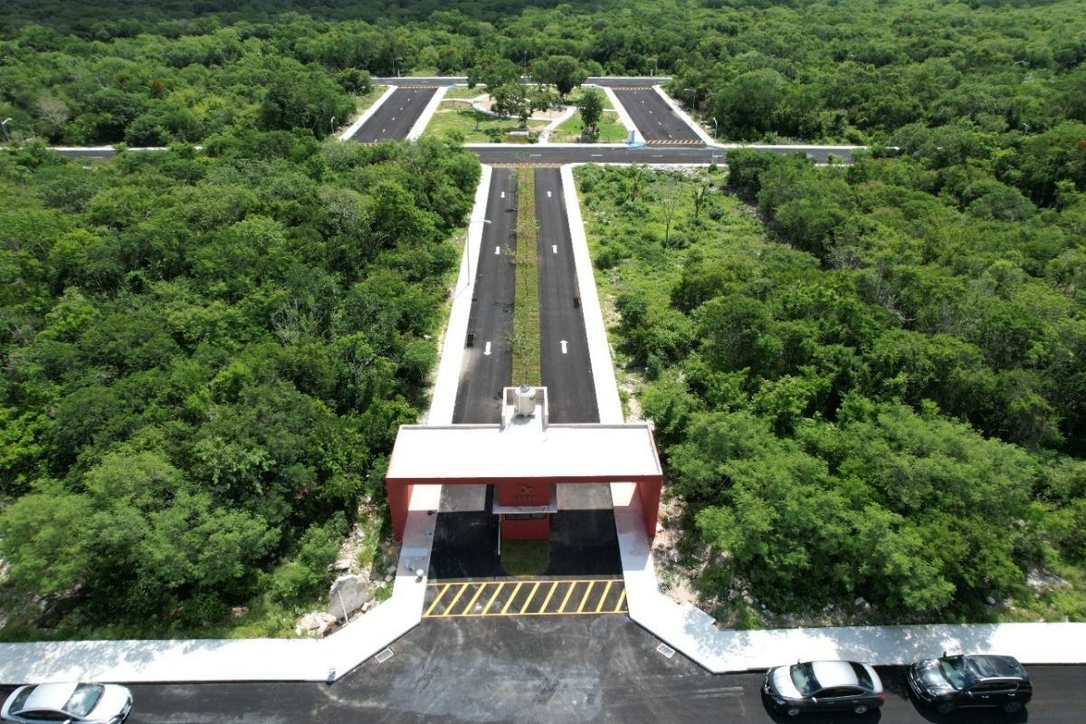 6 de 10