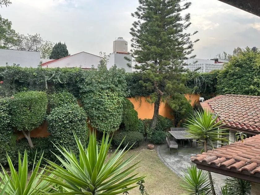29 de 31