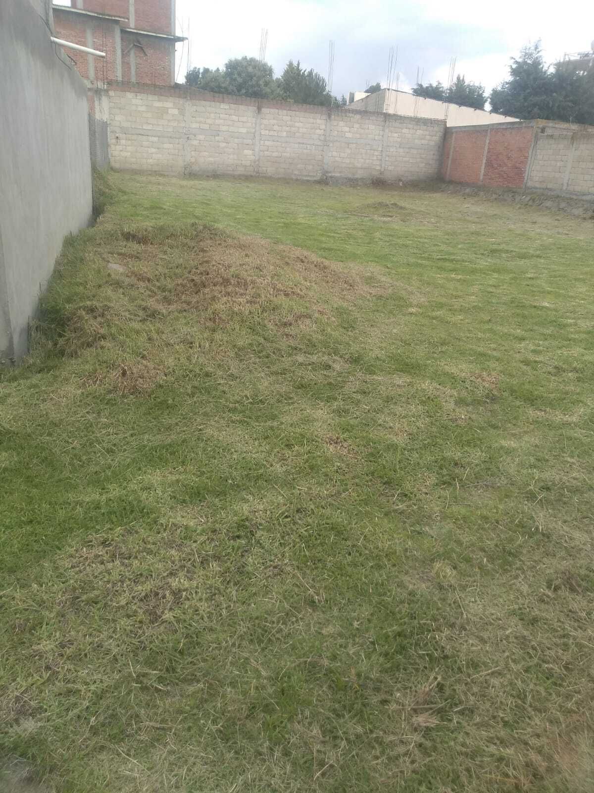 3 de 10