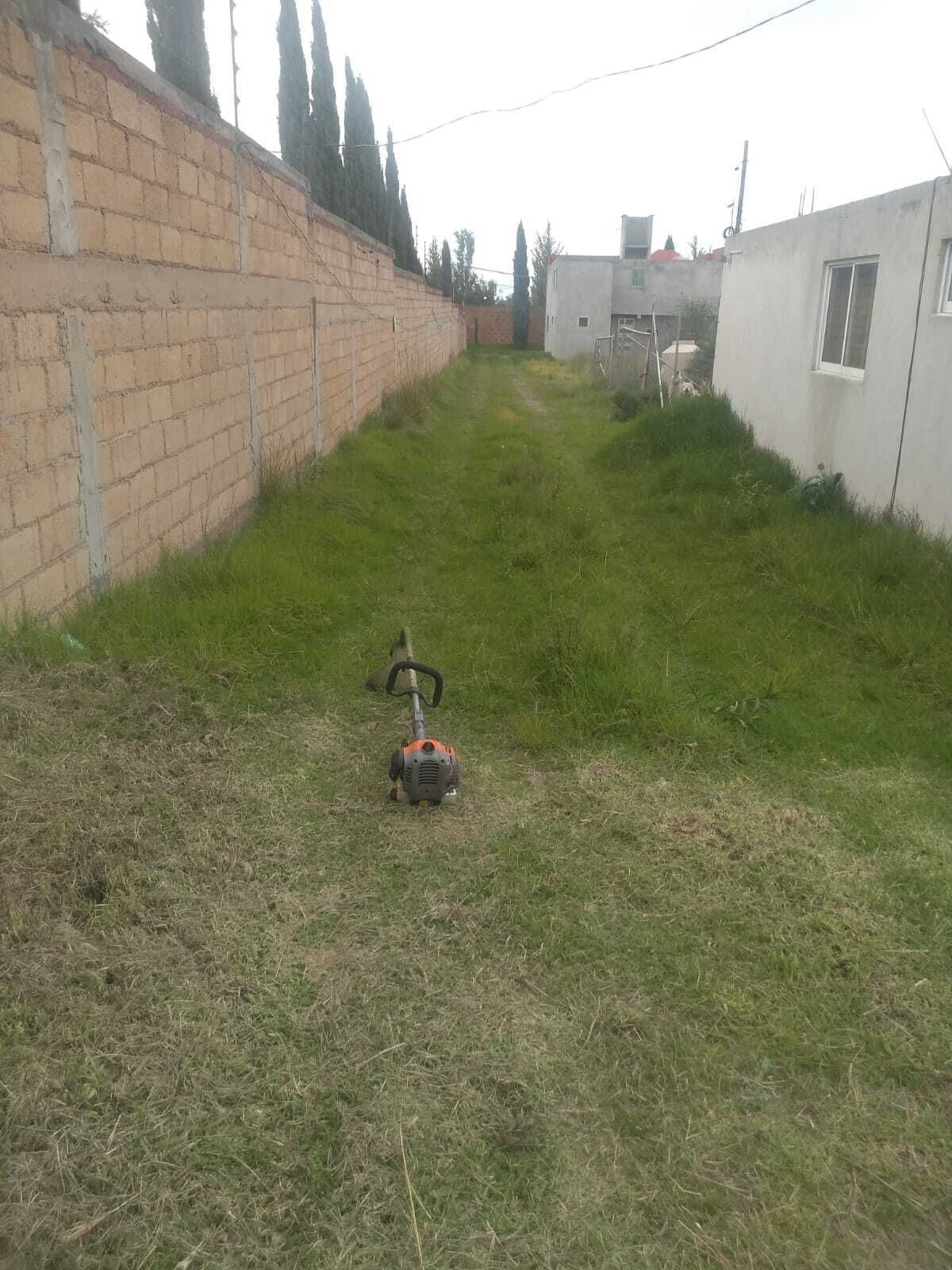 4 de 10