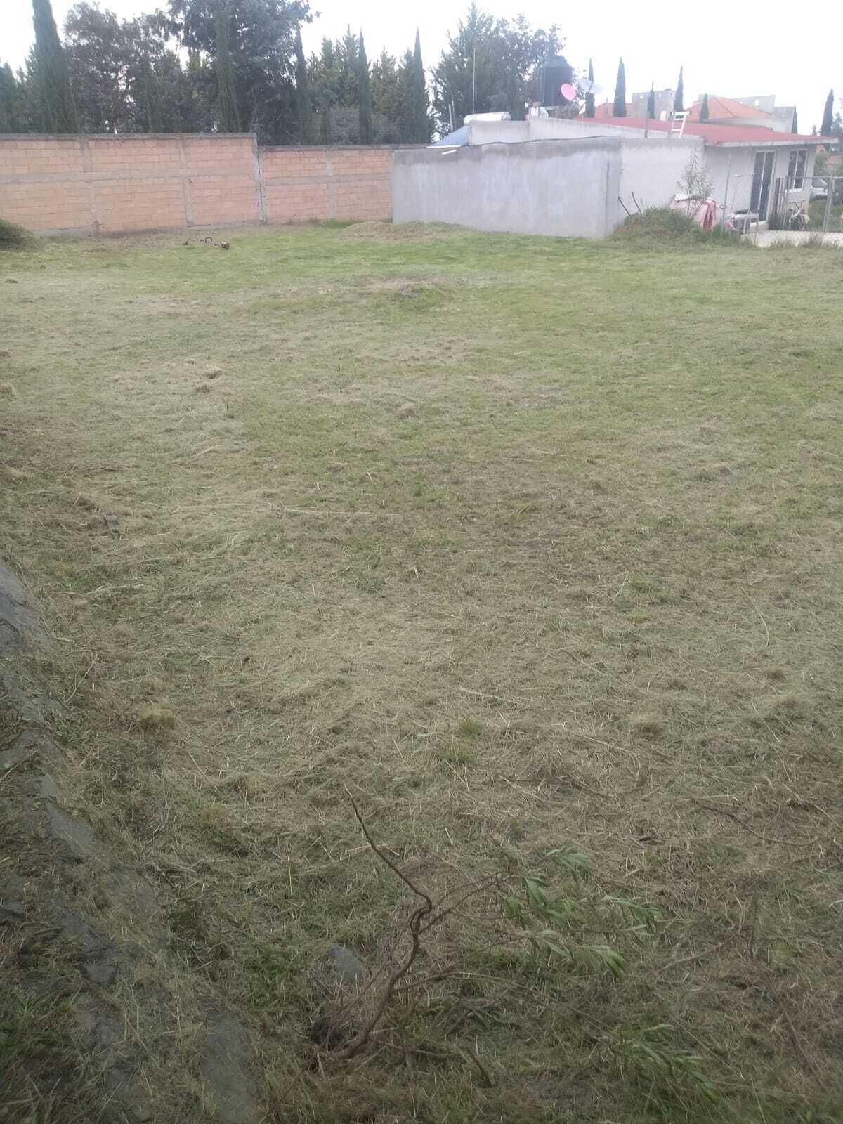7 de 10