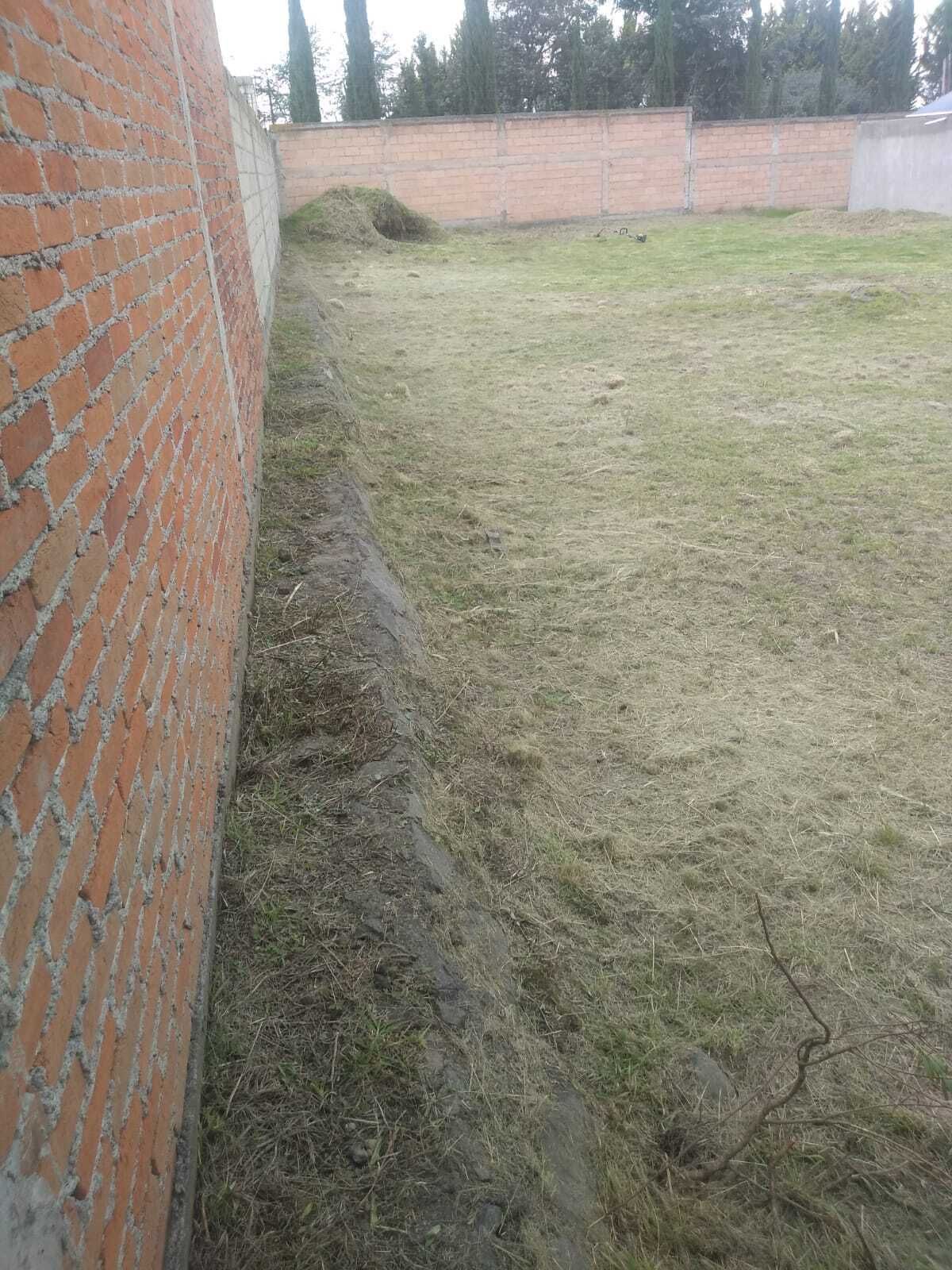 8 de 10