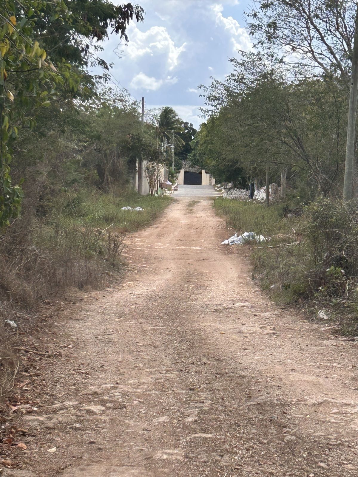 2 de 3