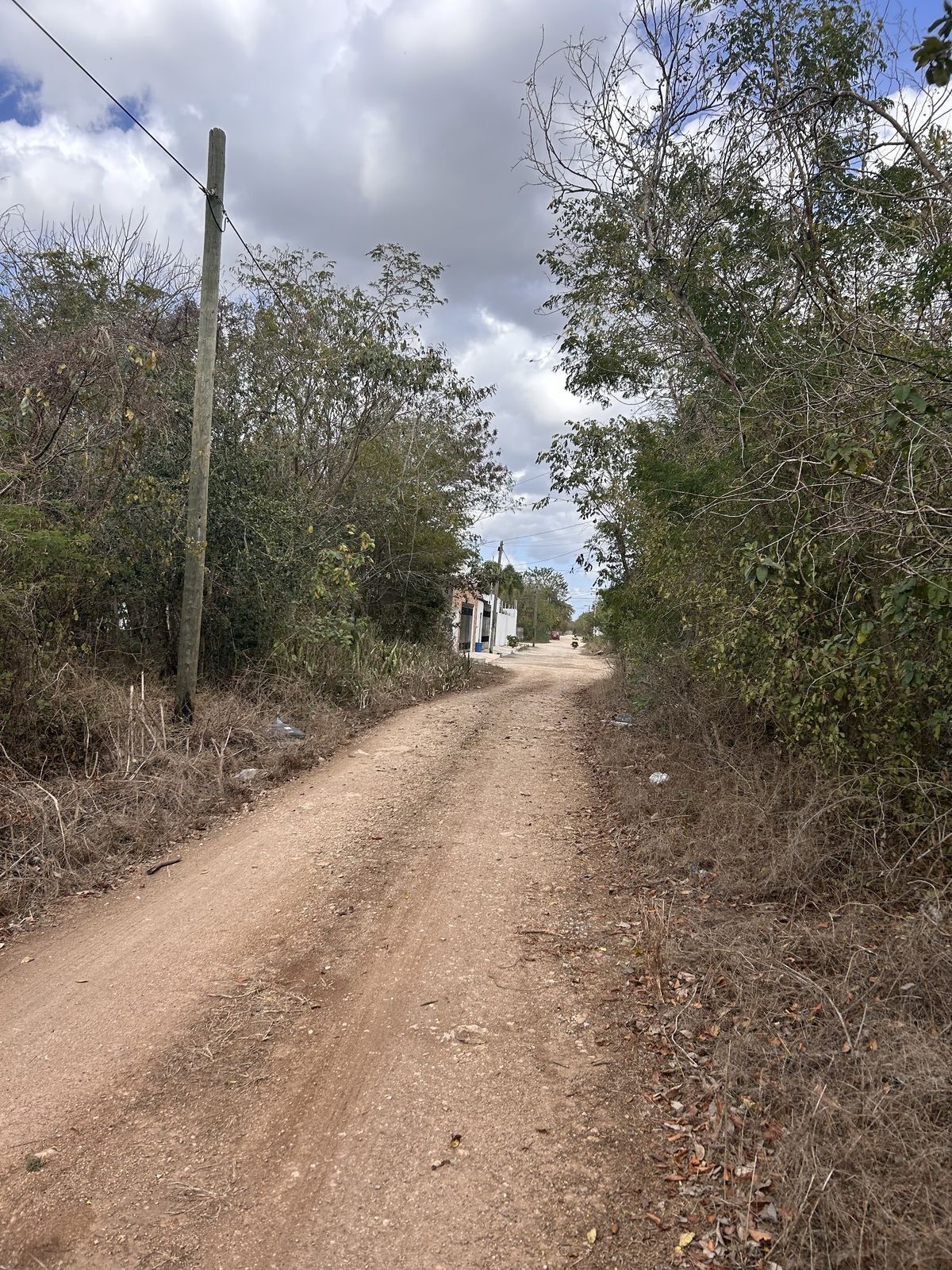1 de 3