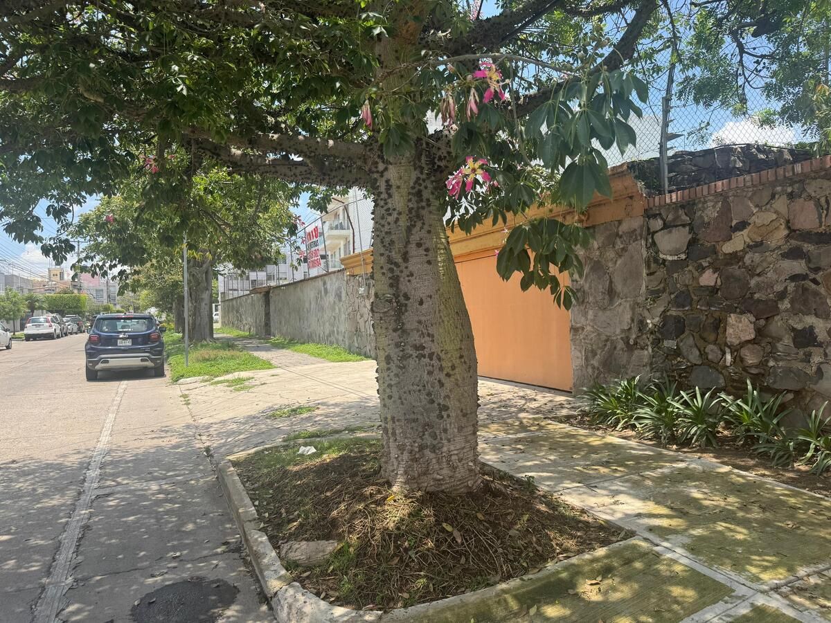 Imagen 2 de 10