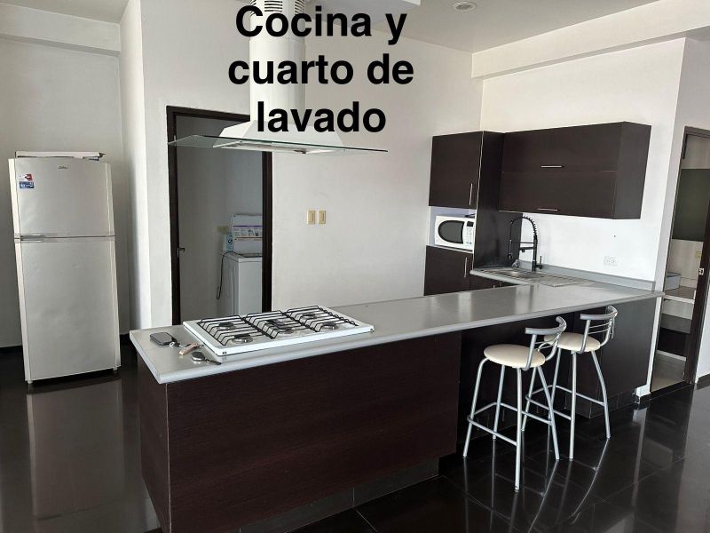 4 de 8