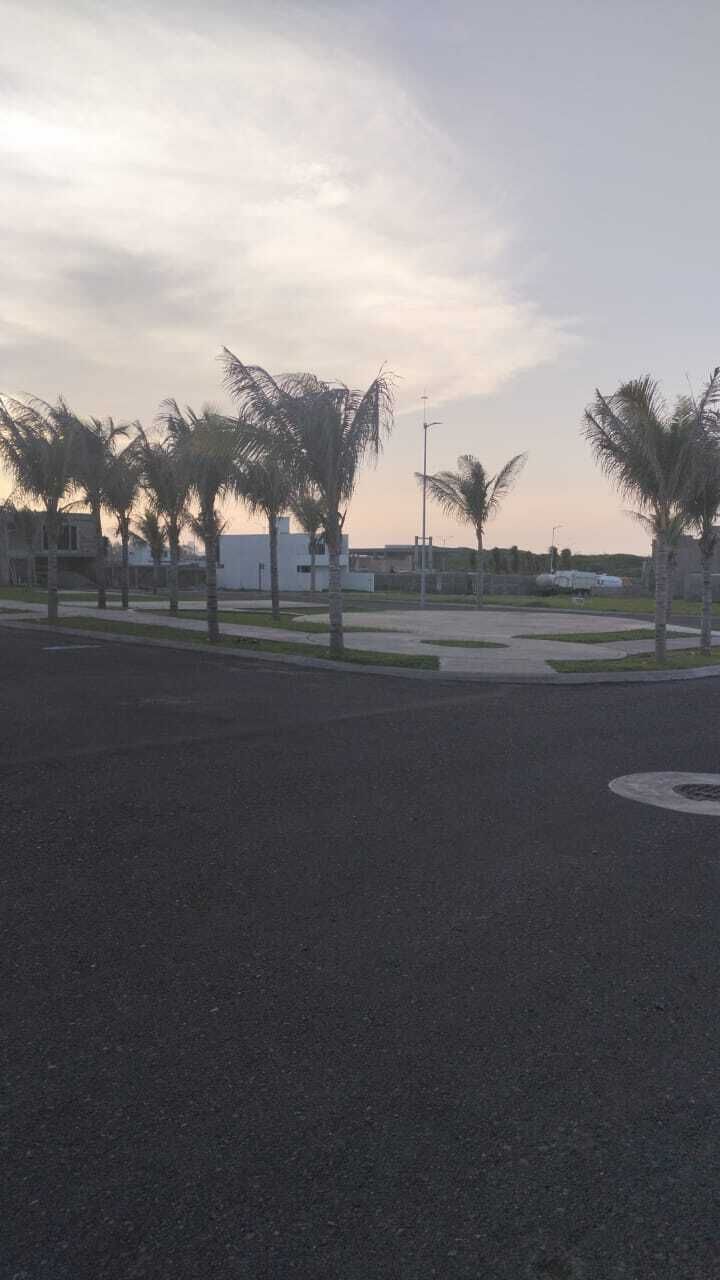 5 of 14