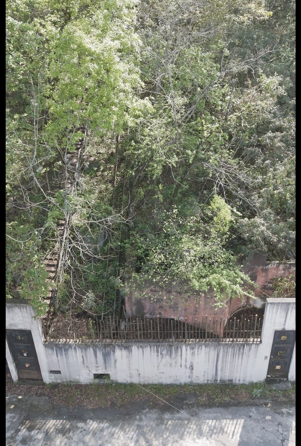3 de 4: Entrada de escaleras para subir a la casa.