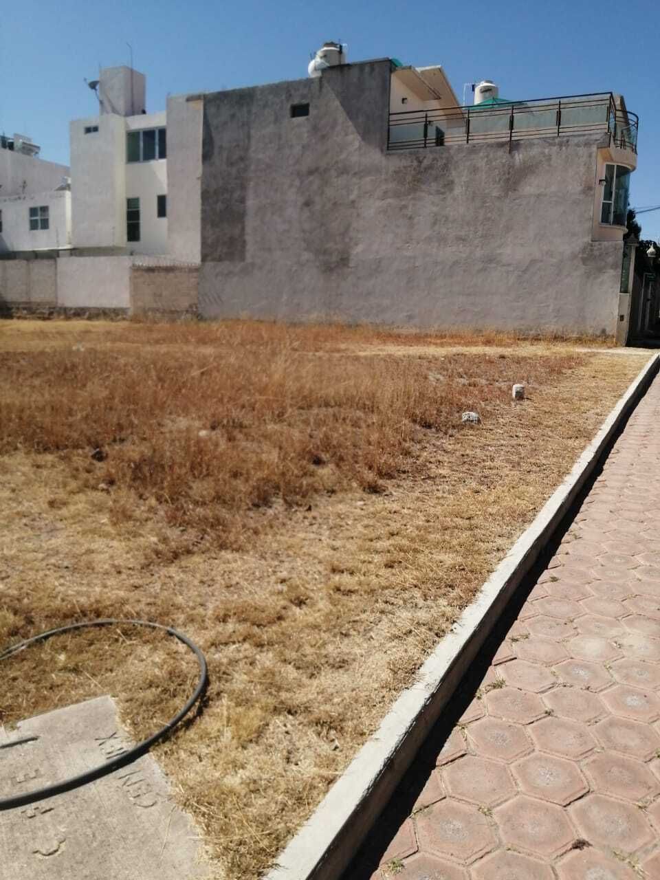 2 de 6