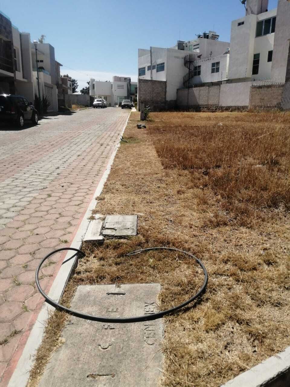 5 de 6