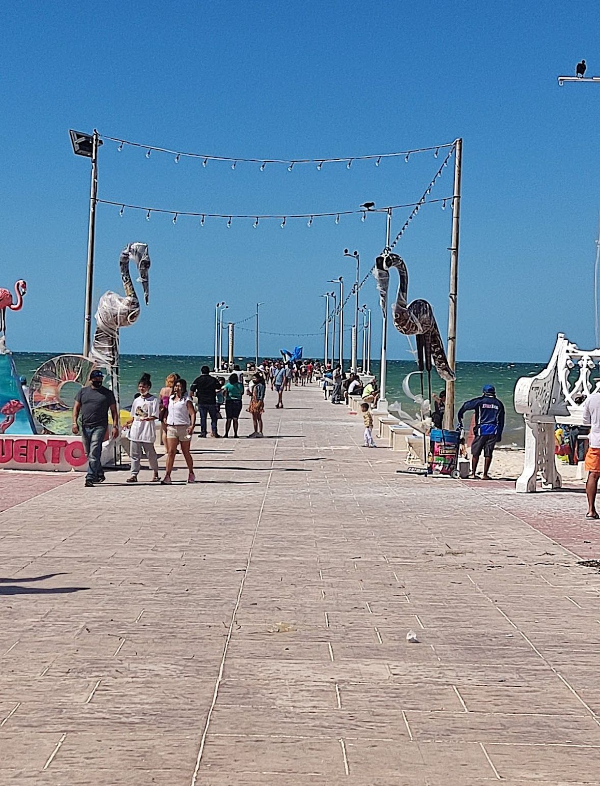 15 de 15
