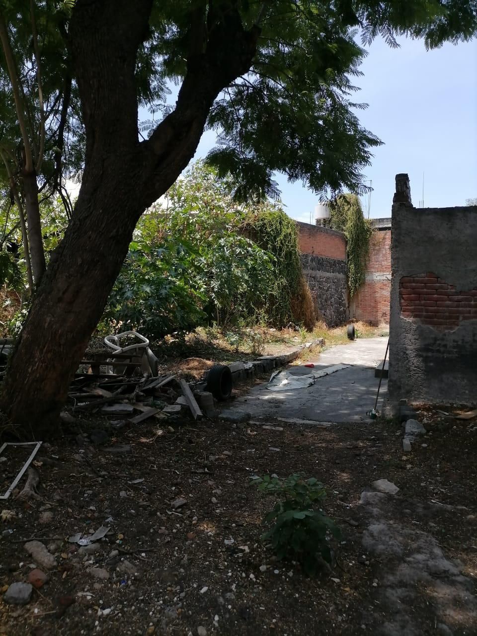 4 de 15