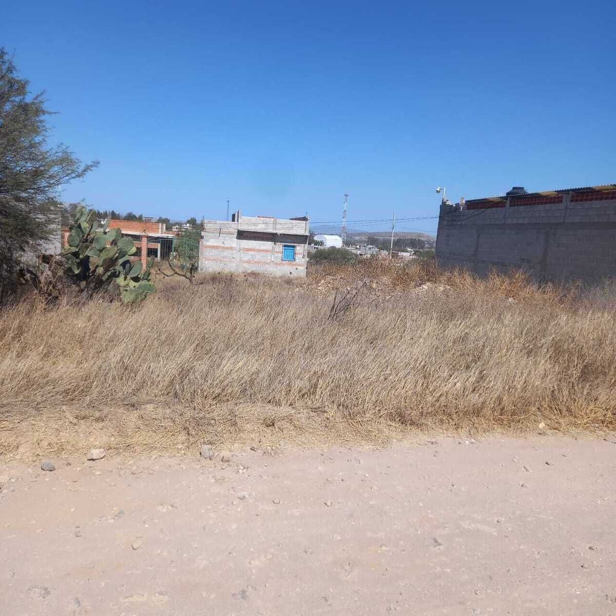 1 de 10