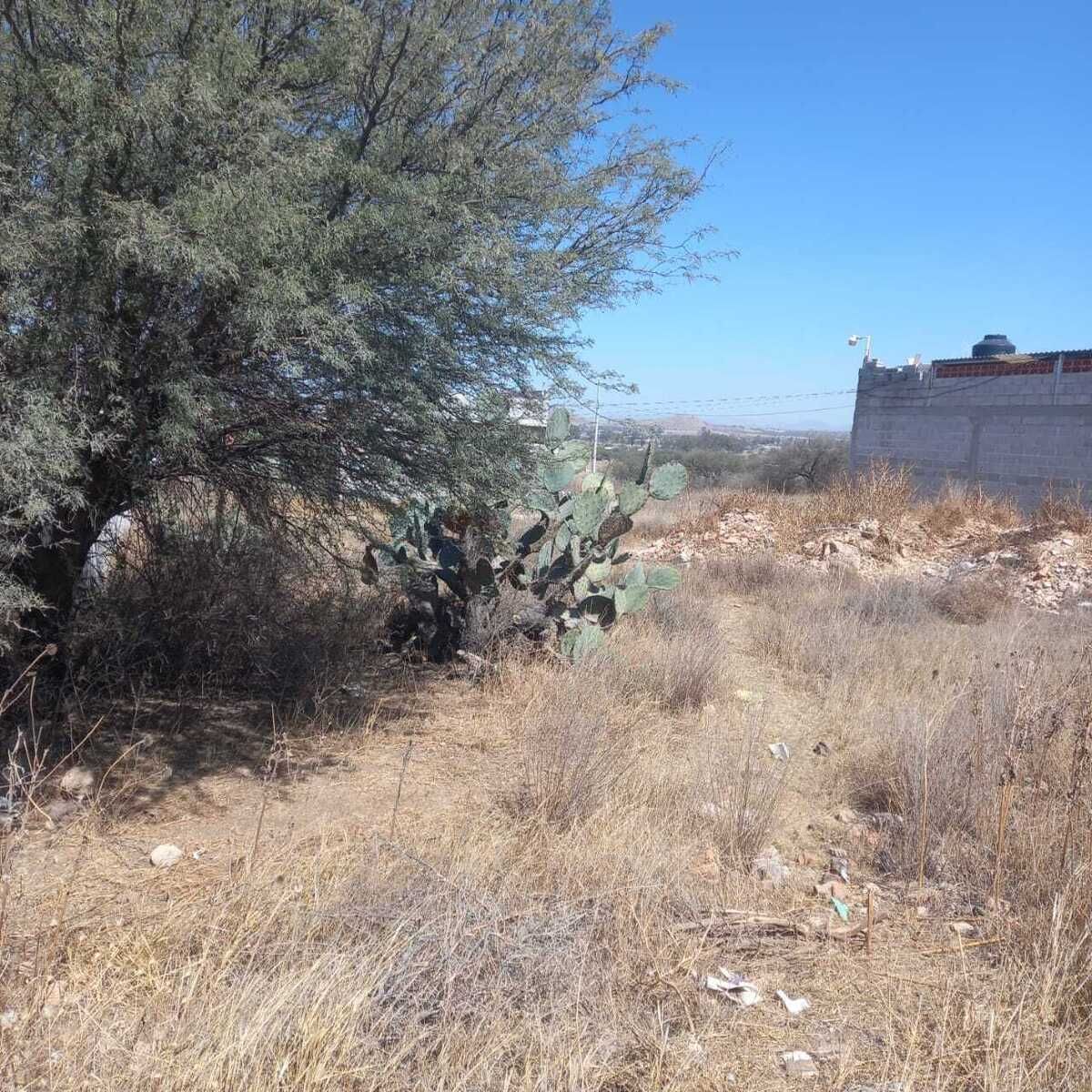 5 de 10