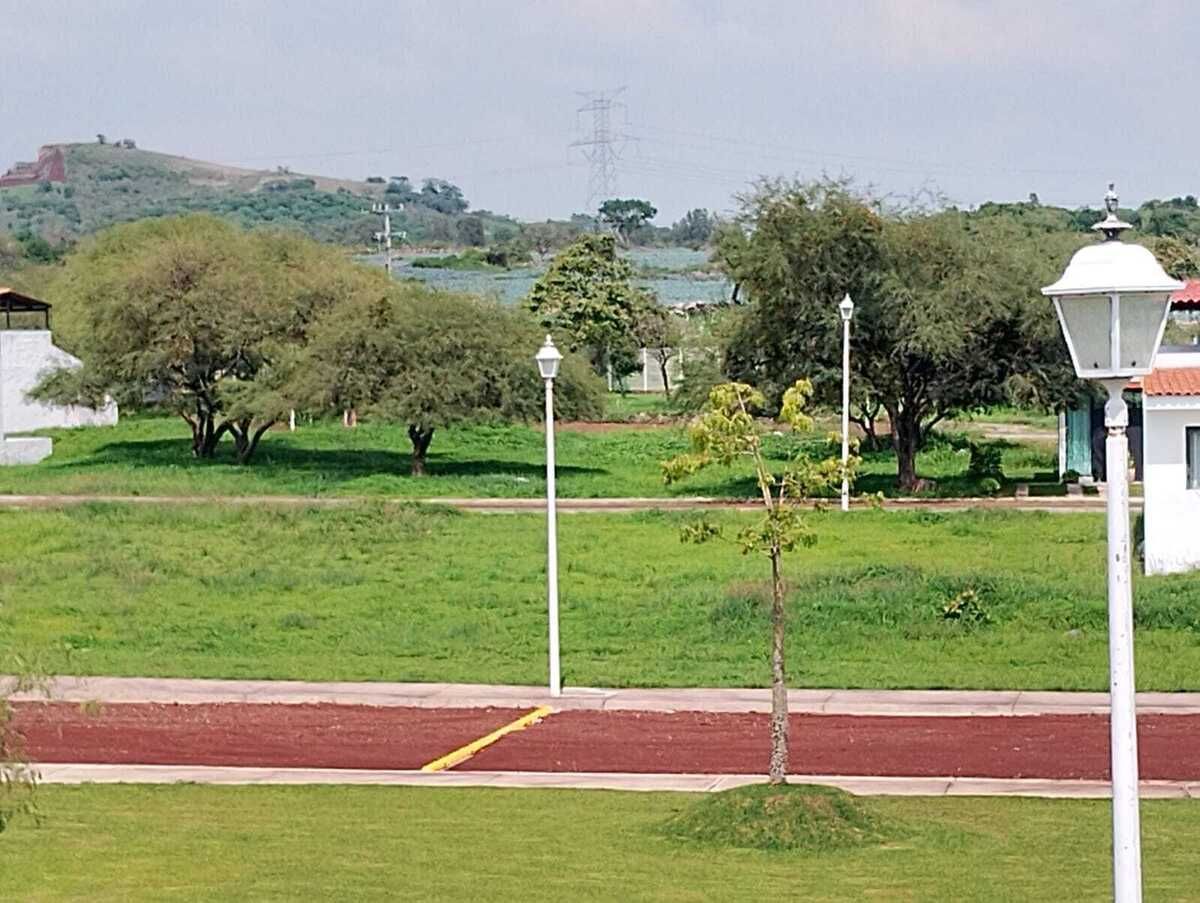 2 de 11