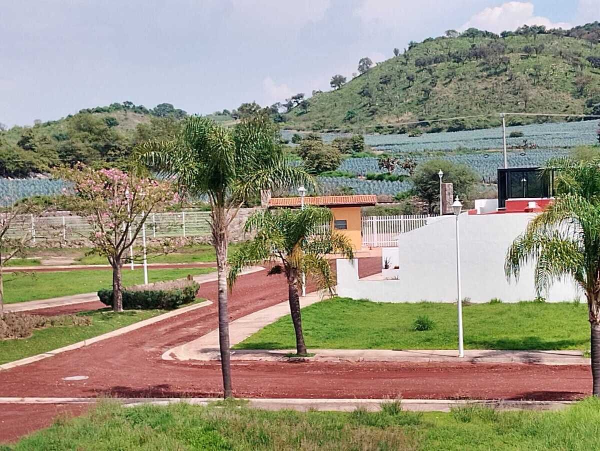 4 de 11