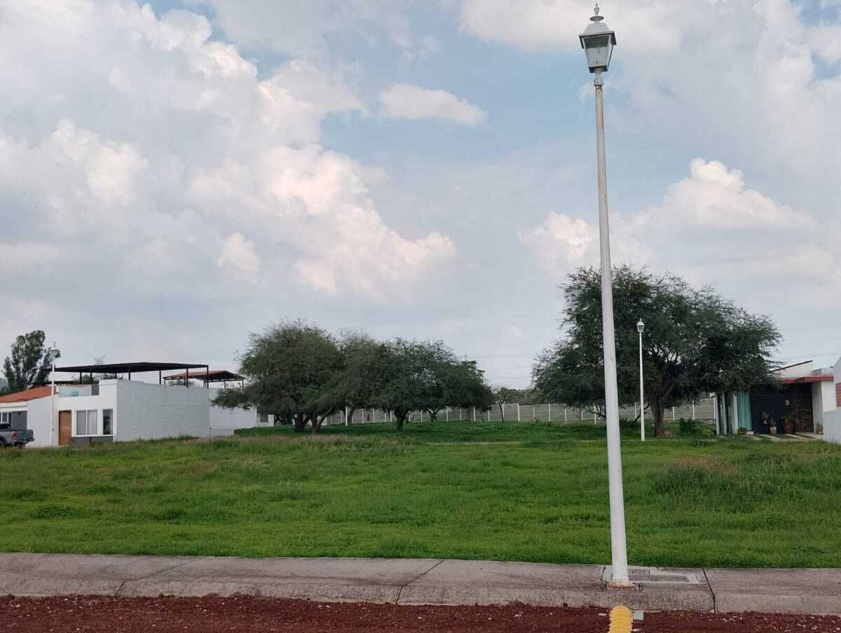 7 de 11