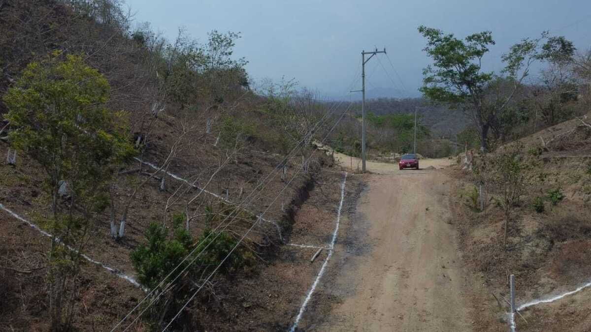 Imagen 8 de 10