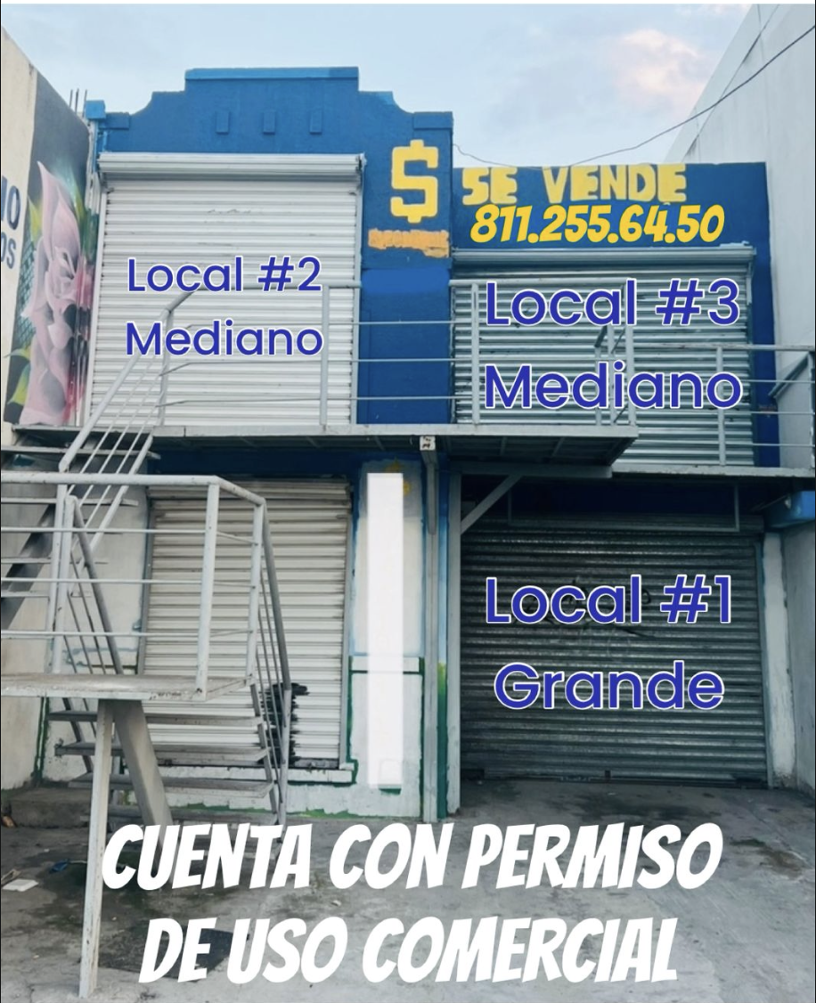 1 de 7