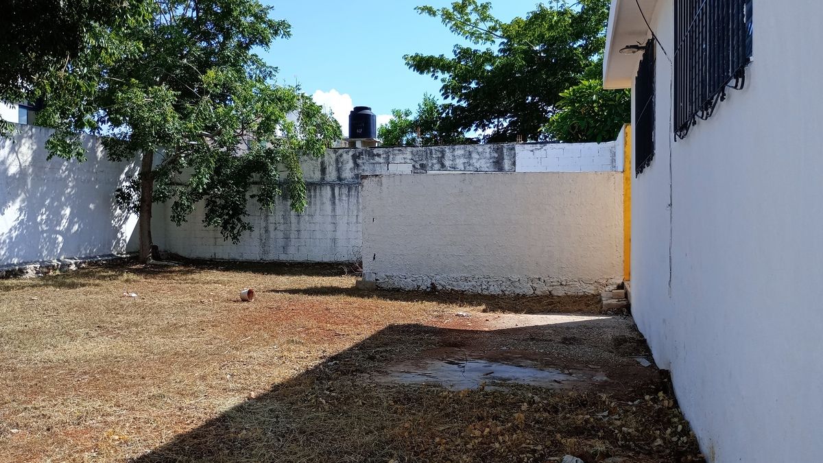 33 de 36: Patio trasero