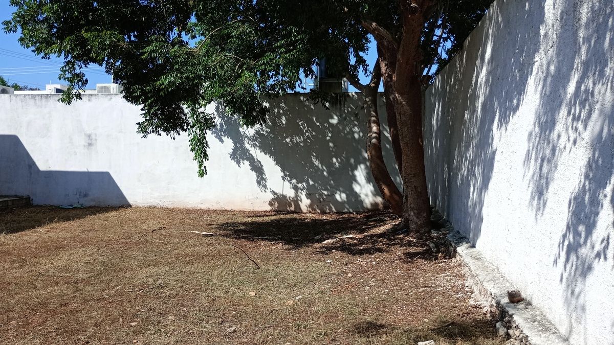 36 de 36: Patio trasero