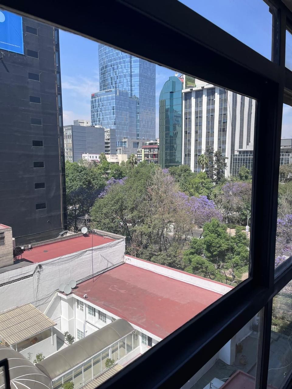 17 de 24