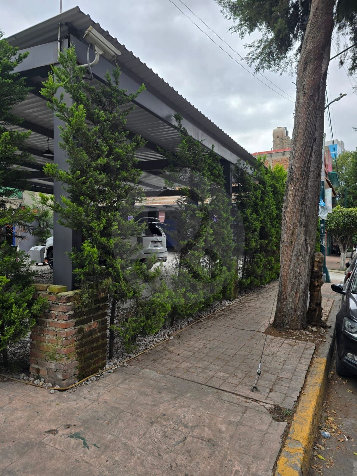 3 de 12