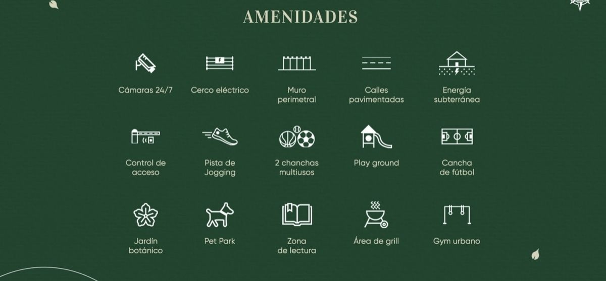 2 de 6