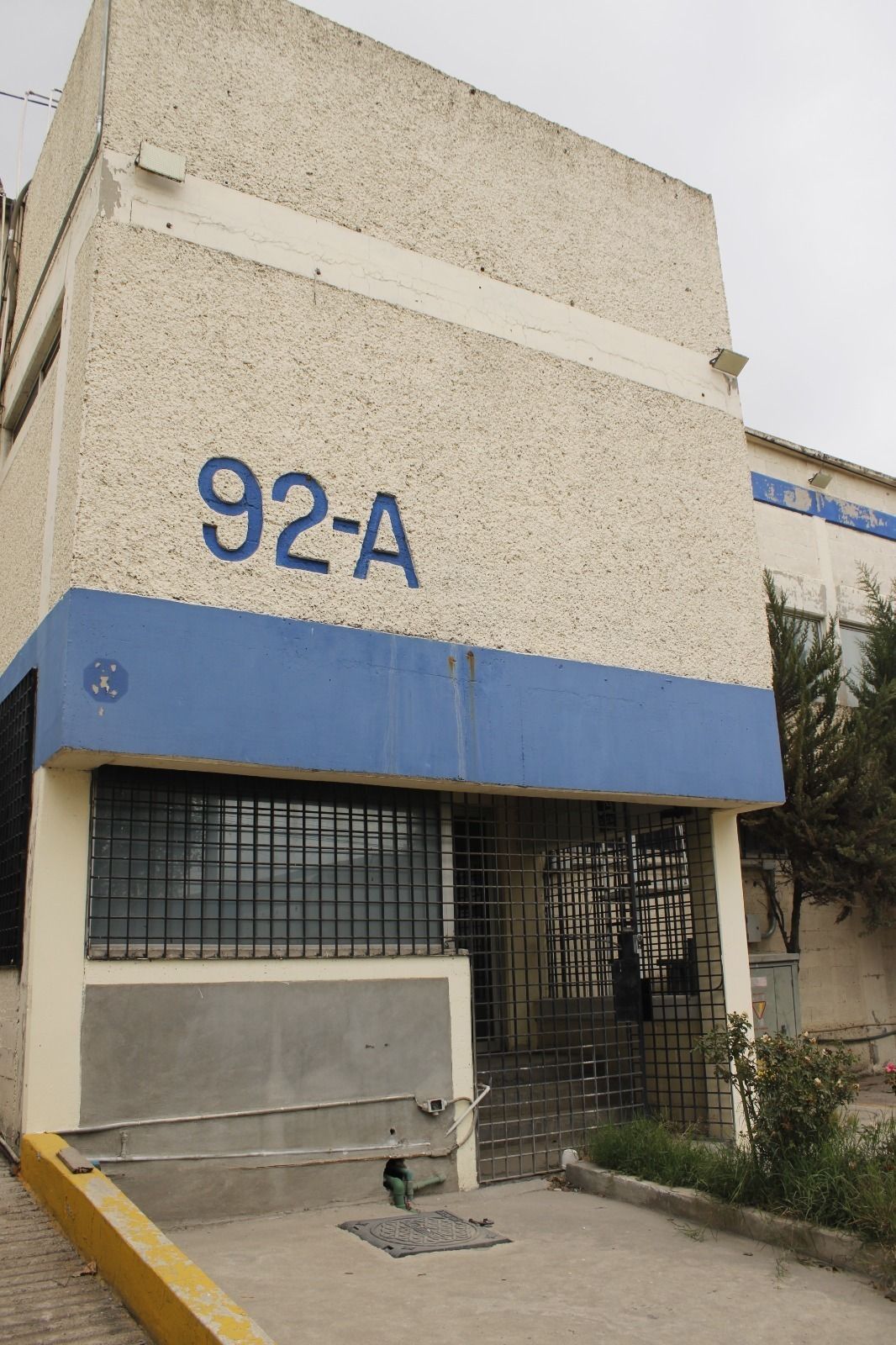 11 de 12
