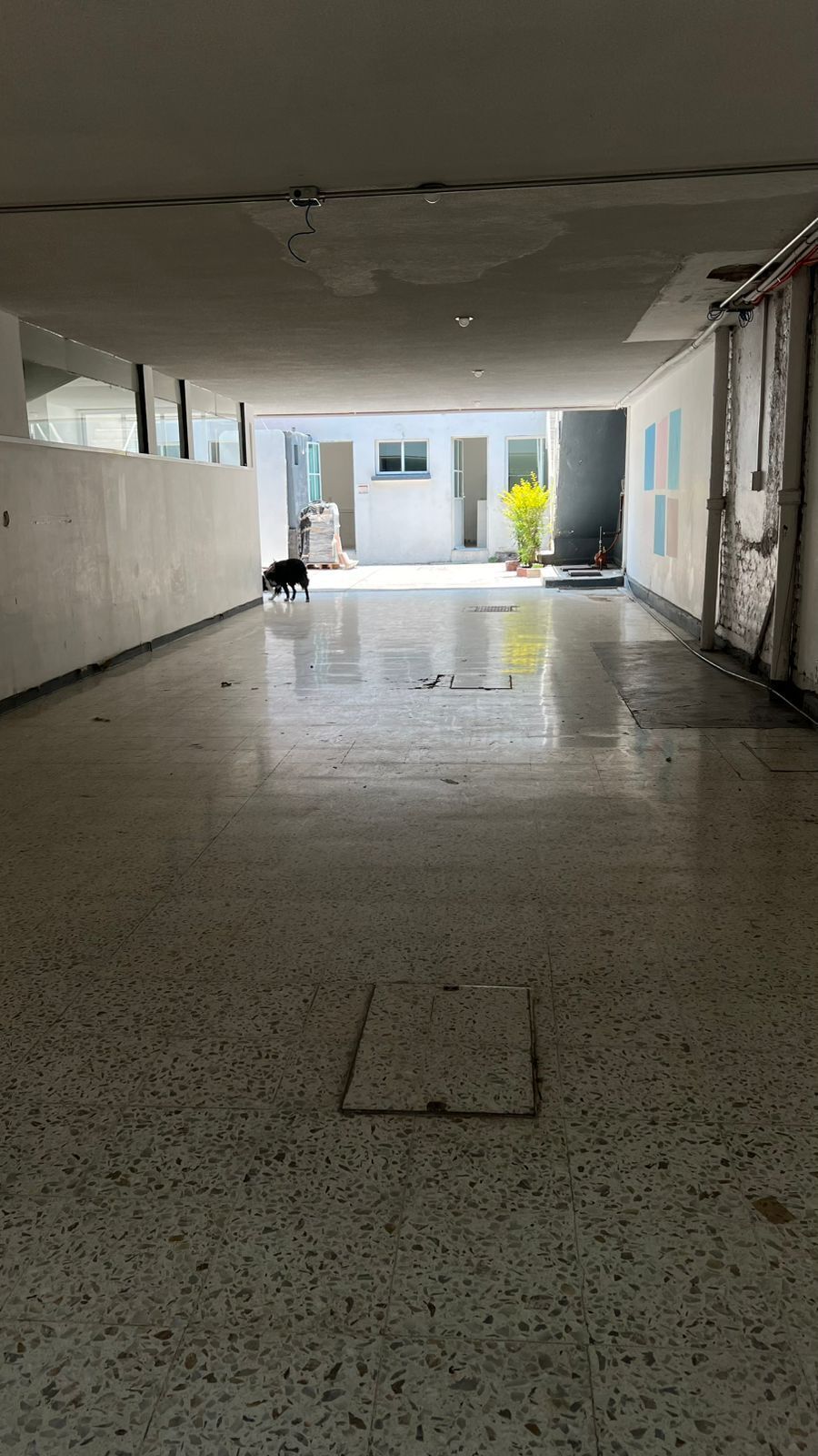 3 de 20