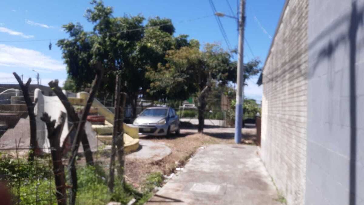 1 de 7