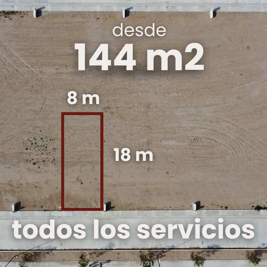 3 de 8