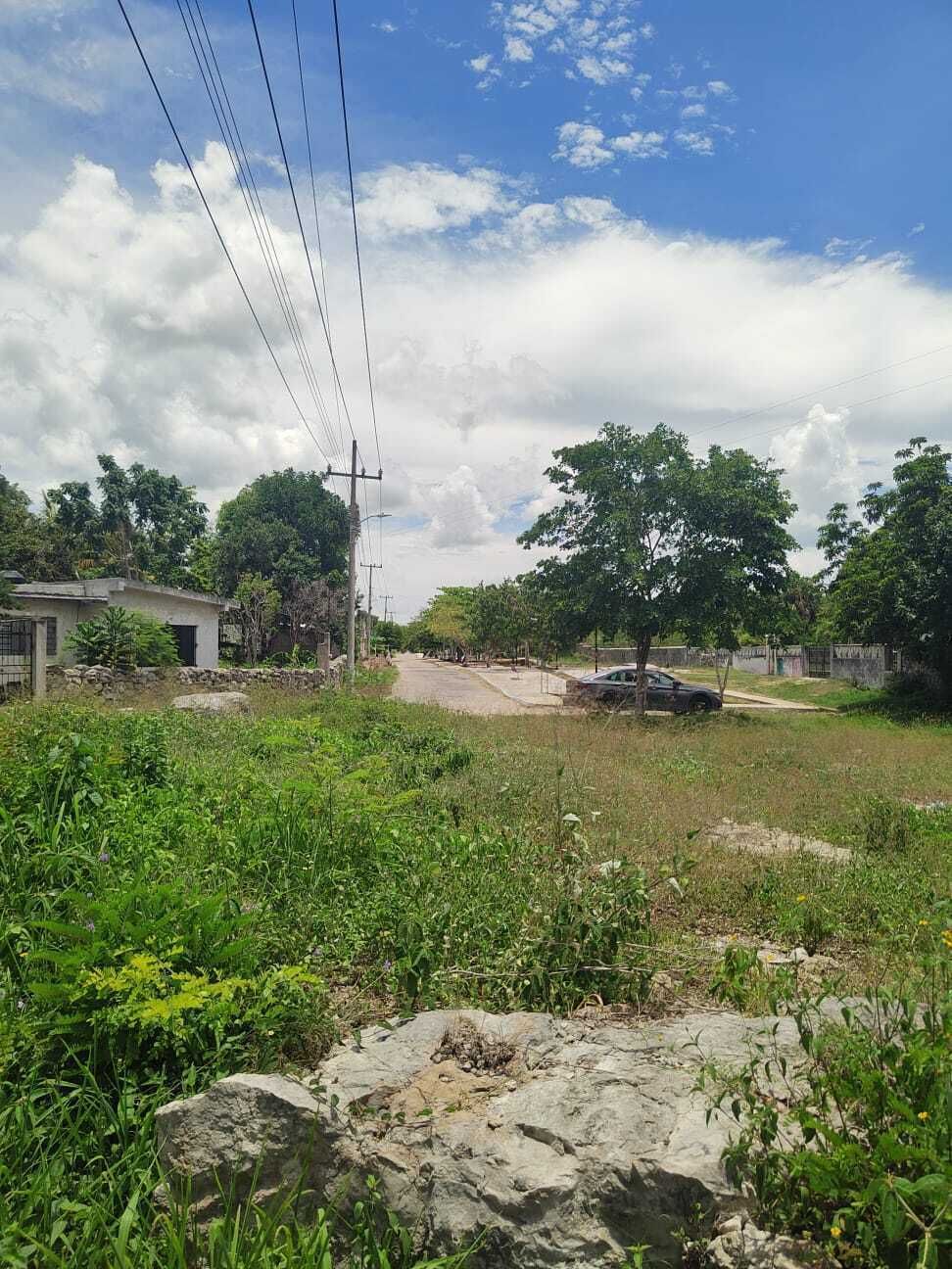 2 de 6: Parque lineal  frente al terreno