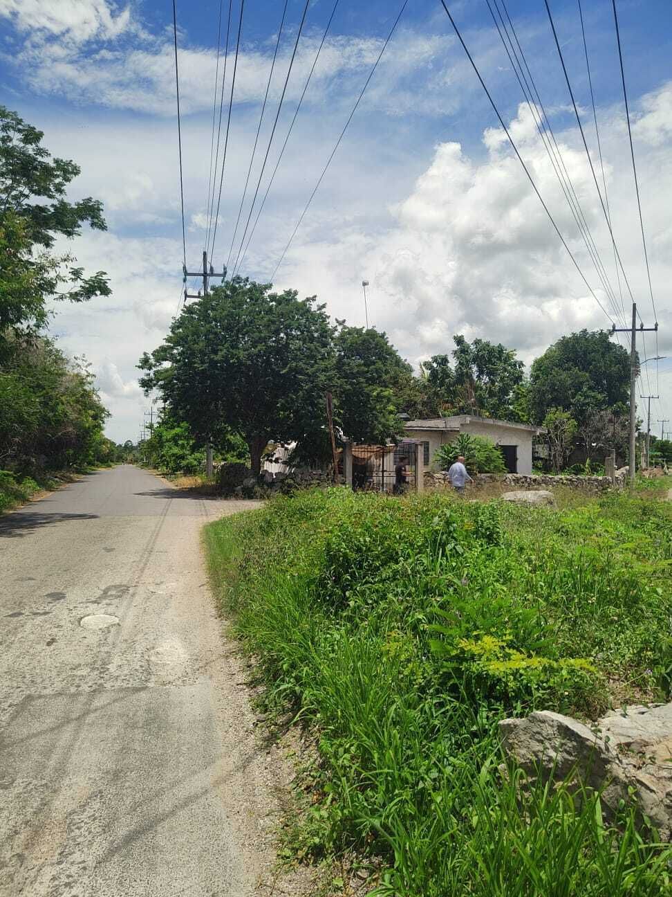 3 de 6