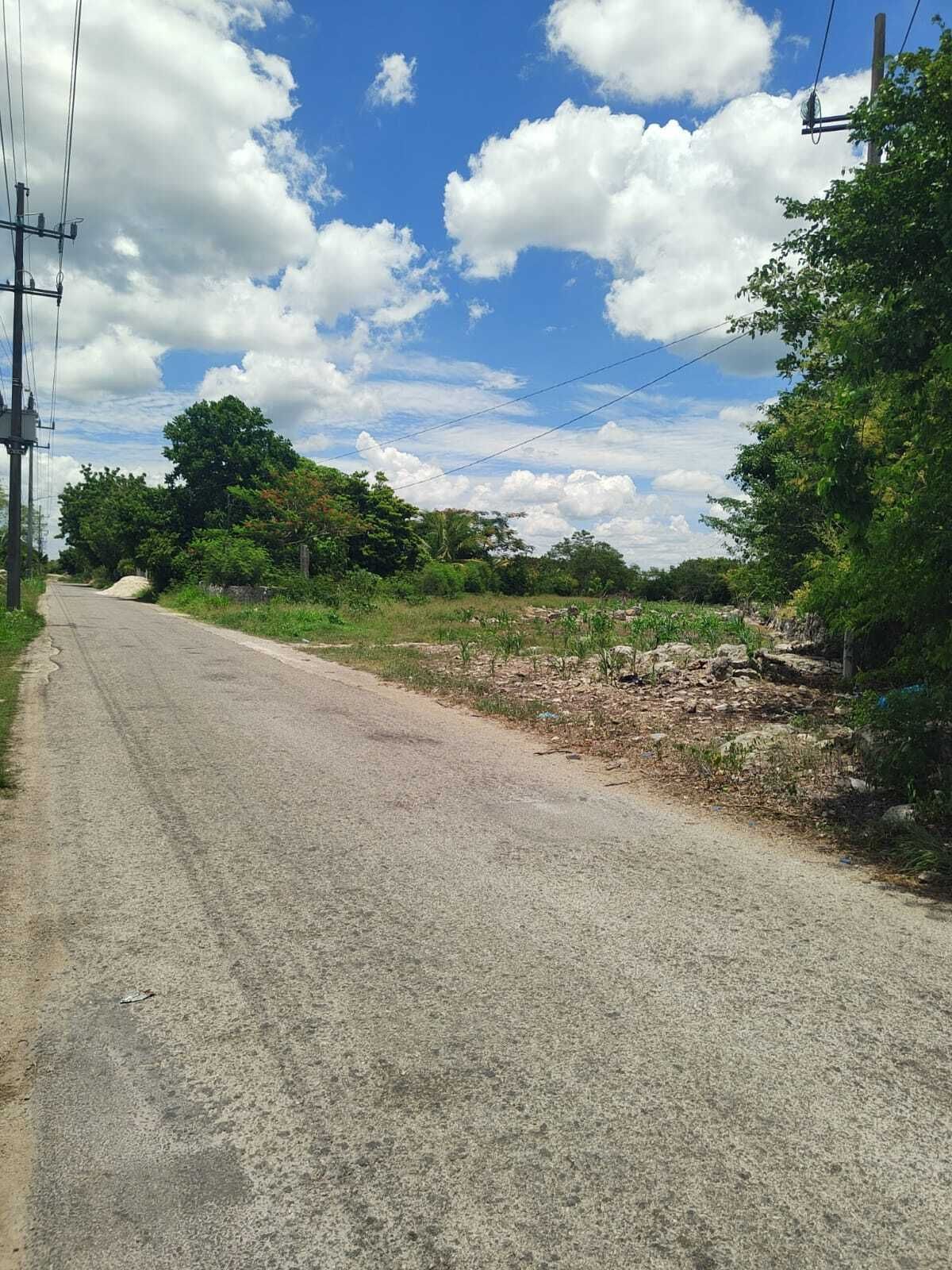 1 de 6: En esta zona habrá una  carretera.