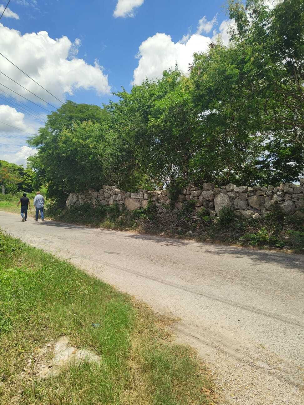 5 de 6