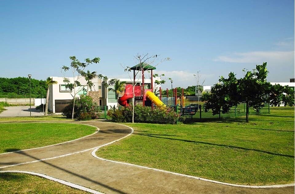 3 de 11