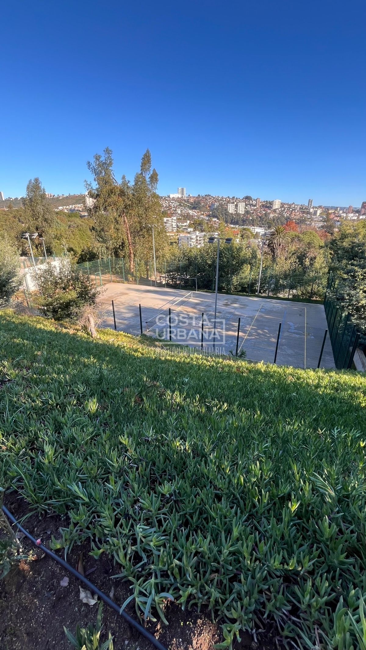 5 de 36