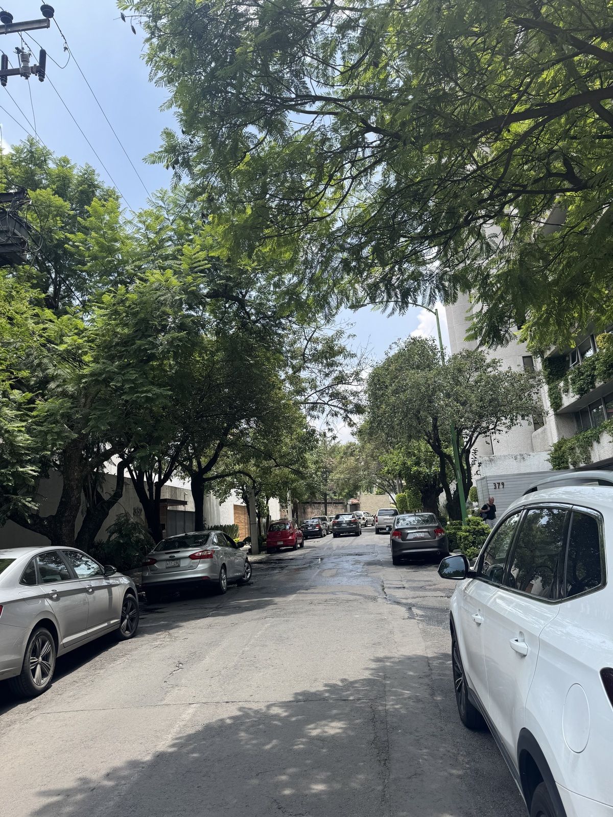 43 de 47: ubicación en calle arbolada