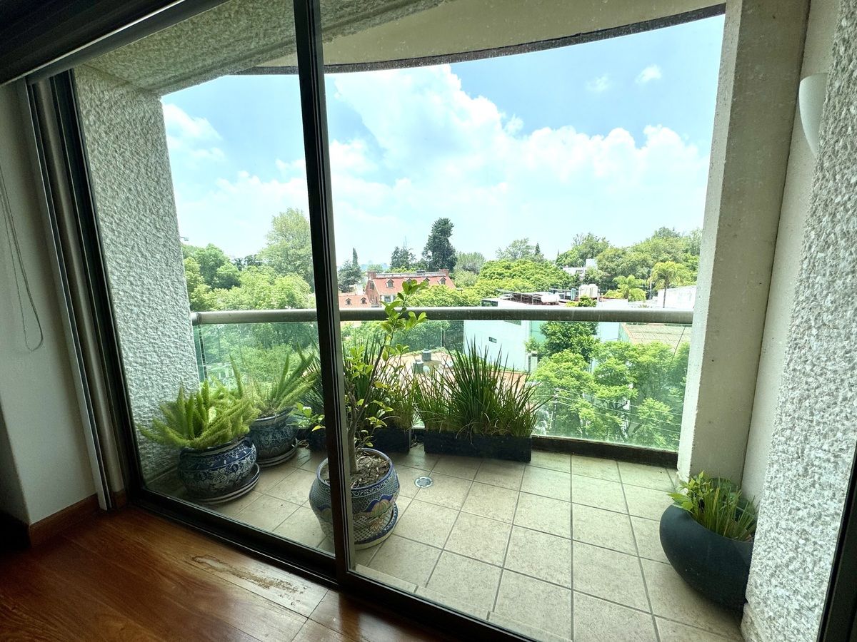 26 de 47: terraza rec ppal